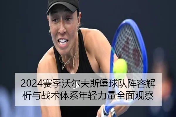 2024赛季沃尔夫斯堡球队阵容解析与战术体系年轻力量全面观察